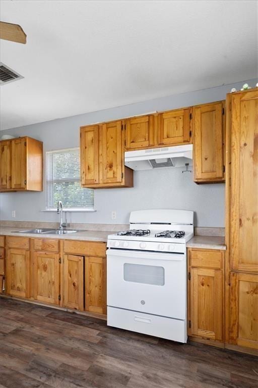 461 Skyline Rdg, San Marcos, TX 78666 - kitchen with gas range gas stove, under cabinet range hood, a sink, and light countertops