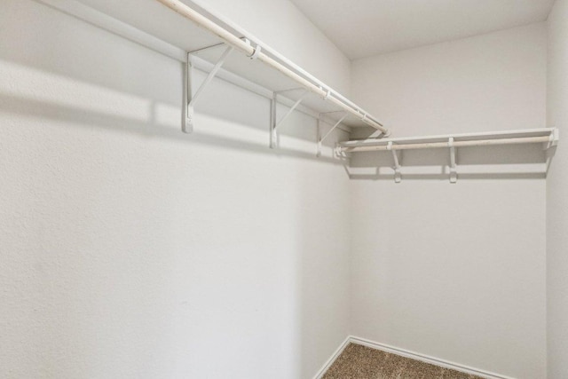 9701 Kensley Rose Dr, Killeen, TX 76542 - spacious closet with carpet flooring