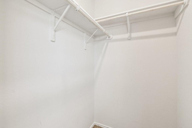 9701 Kensley Rose Dr, Killeen, TX 76542 - view of spacious closet