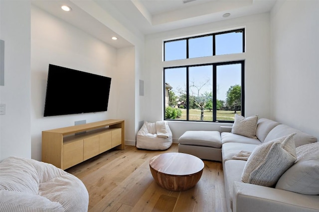 7816 Lynchburg Dr, Austin, TX 78738 - living area featuring recessed lighting, light wood finished floors, and a tray ceiling