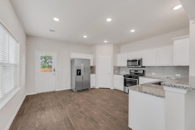 2900 Tweedy Trl, Pflugerville, TX 78660 - kitchen featuring stainless steel appliances, light stone countertops, a sink, tasteful backsplash, and wood finished floors