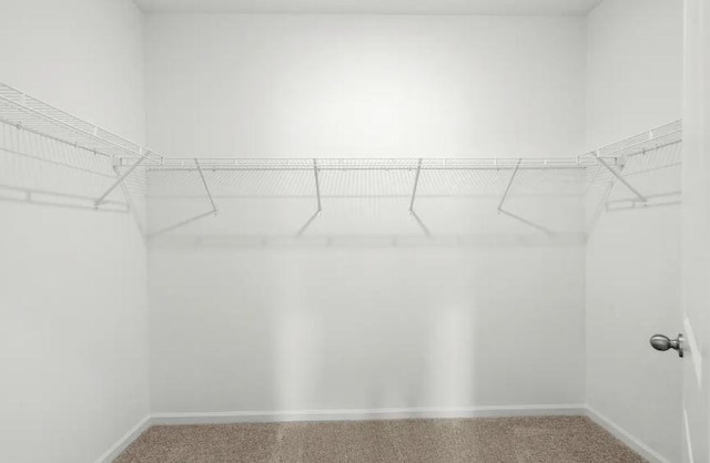 129 Bridgeview Dr, Hutto, TX 78634 - walk in closet featuring carpet