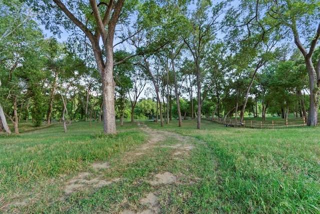 view of yard