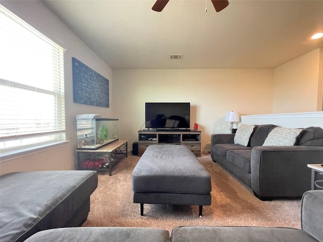 19900 Hubert R Humphrey Rd, Manor, TX 78653 - living area featuring carpet, ceiling fan, and healthy amount of natural light