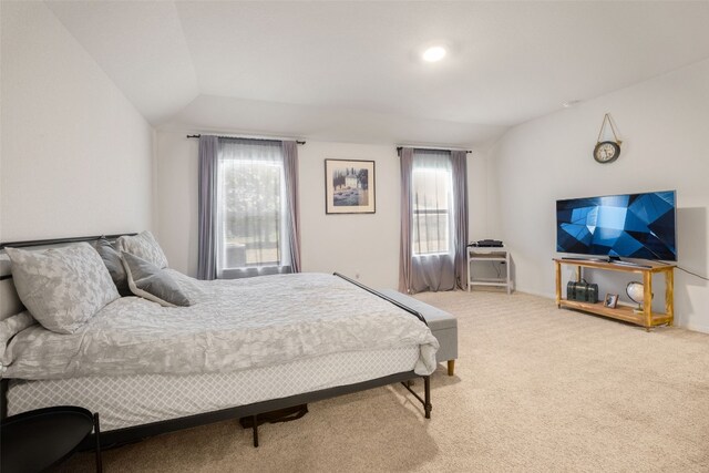 109 Egret Dr, Bastrop, TX 78602 - bedroom featuring multiple windows and carpet flooring