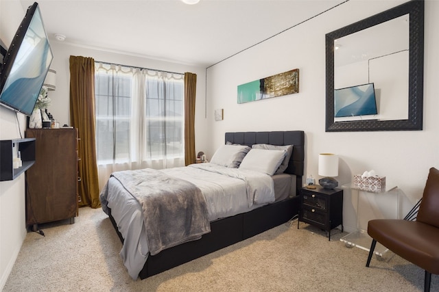 109 Egret Dr, Bastrop, TX 78602 - view of carpeted bedroom