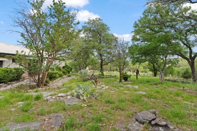 1603 Purple Sage, Horseshoe Bay, TX 78657 - view of yard