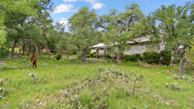 1603 Purple Sage, Horseshoe Bay, TX 78657 - view of yard