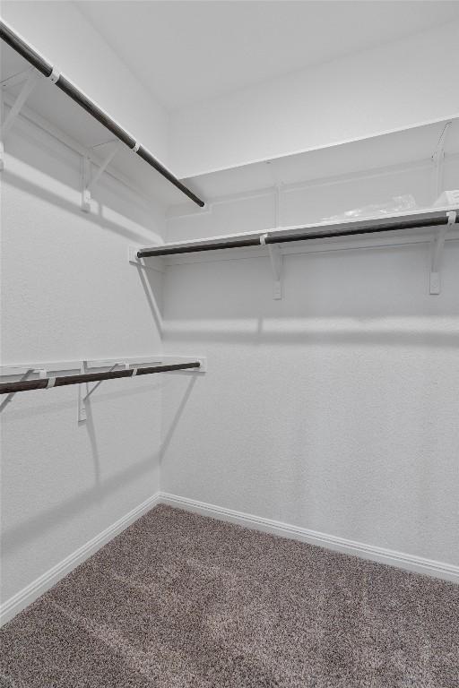 16816 Caperi Dr, Pflugerville, TX 78660 - walk in closet featuring carpet flooring