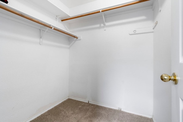 9325 Linkmeadow Dr, Austin, TX 78748 - walk in closet featuring carpet flooring