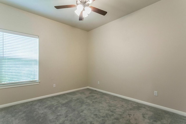 149 Citation Dr, Jarrell, TX 76537 - photo 26