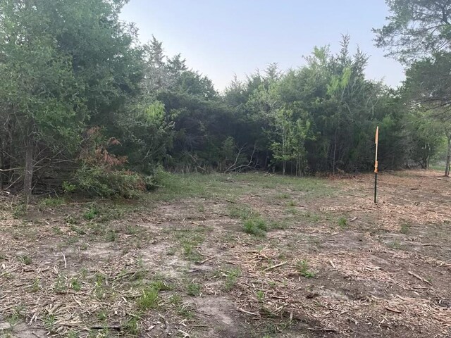 105 Crooked Rd, Dale, TX 78616 - photo 11