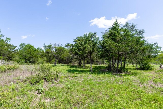105 Crooked Rd, Dale, TX 78616 - photo 6
