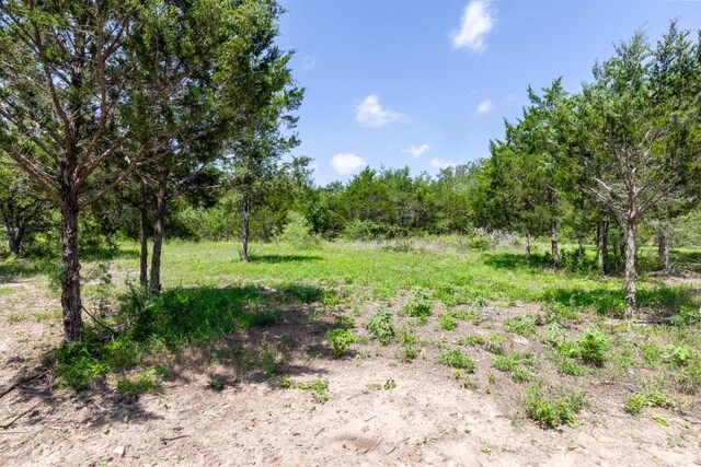 105 Crooked Rd, Dale, TX 78616 - photo 7