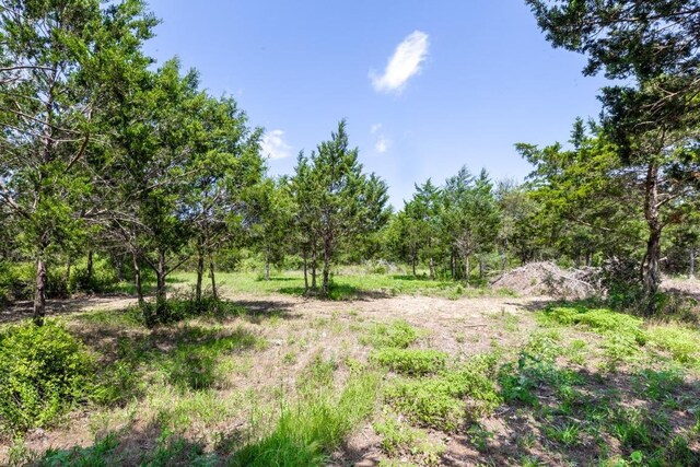 105 Crooked Rd, Dale, TX 78616 - photo 2