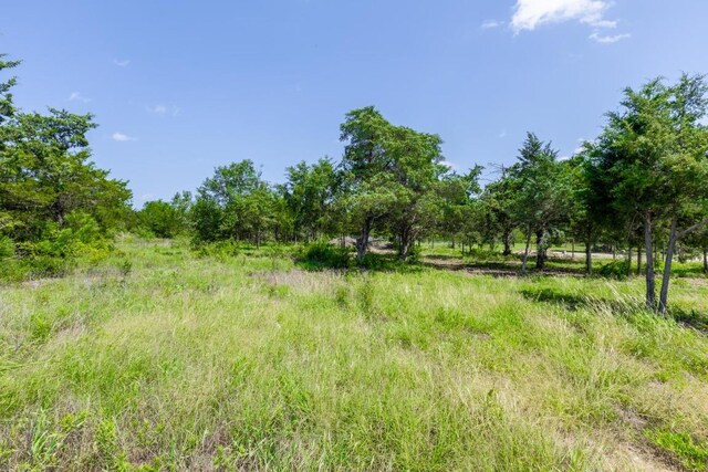 105 Crooked Rd, Dale, TX 78616 - photo 9