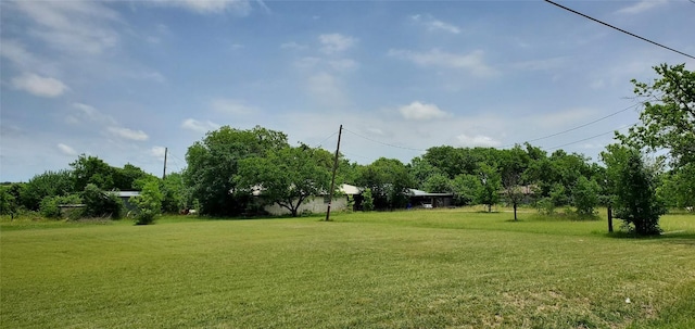 470 County Road 152, Georgetown, TX 78626 - view of green lawn