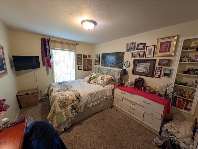 13603 Overland Pass, Bee Cave, TX 78738 - view of carpeted bedroom