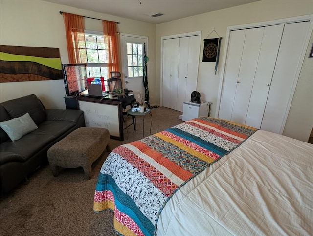 13603 Overland Pass, Bee Cave, TX 78738 - bedroom featuring carpet floors and two closets
