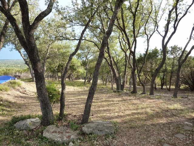 13603 Overland Pass, Bee Cave, TX 78738 - photo 23