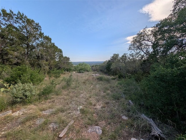 13603 Overland Pass, Bee Cave, TX 78738 - view of nature