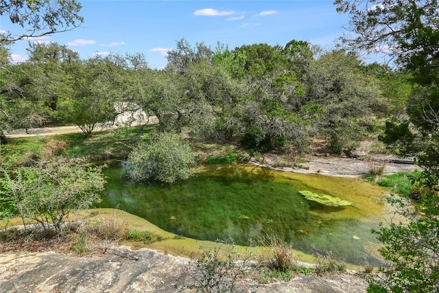 4908 Canyon Ranch Trl, Spicewood, TX 78669 - photo 8