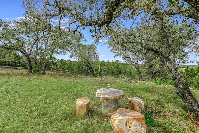 4908 Canyon Ranch Trl, Spicewood, TX 78669 - view of yard