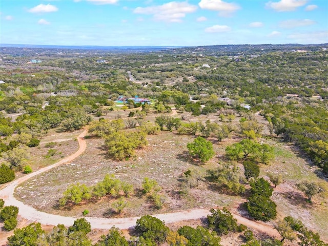 4908 Canyon Ranch Trl, Spicewood, TX 78669 - aerial overview of property's location