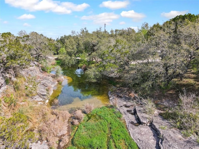 4908 Canyon Ranch Trl, Spicewood, TX 78669 - water view