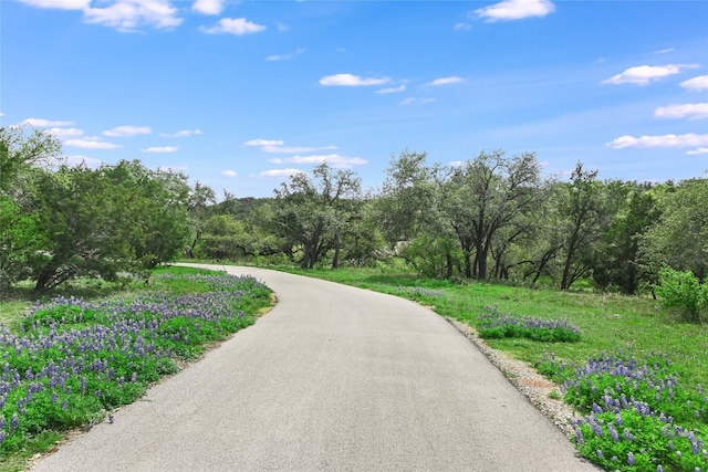 4908 Canyon Ranch Trl, Spicewood, TX 78669 - view of asphalt road with a wooded view