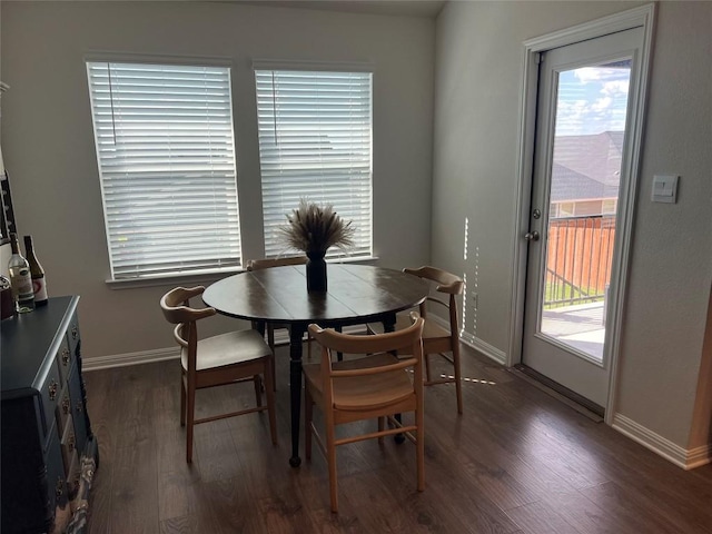 248 Lone Cedar Rd, Marble Falls, TX 78654 - dining area featuring dark wood-style flooring, baseboards, and plenty of natural light