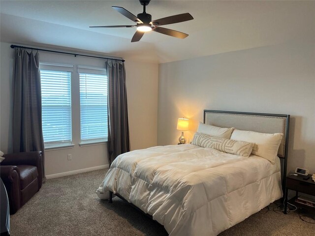248 Lone Cedar Rd, Marble Falls, TX 78654 - bedroom featuring carpet flooring, multiple windows, baseboards, and a ceiling fan
