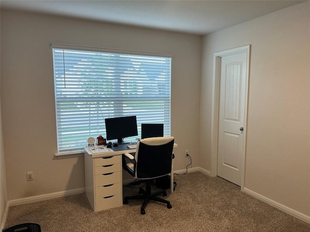 248 Lone Cedar Rd, Marble Falls, TX 78654 - home office with light colored carpet, plenty of natural light, and baseboards