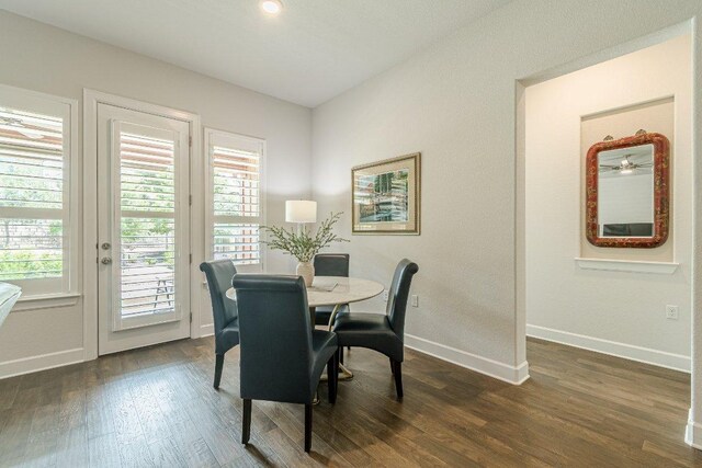 305 Dashing Sycamore St, San Marcos, TX 78666 - dining room with baseboards, dark wood-type flooring, and healthy amount of natural light