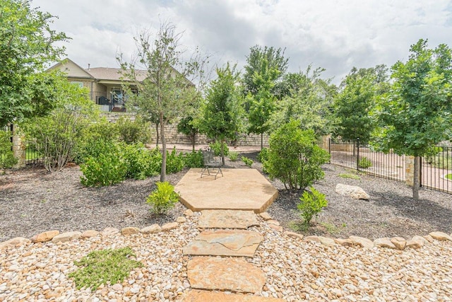 305 Dashing Sycamore St, San Marcos, TX 78666 - view of yard