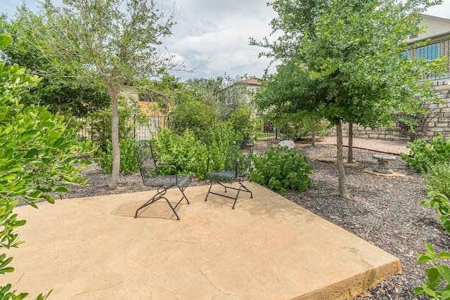 305 Dashing Sycamore St, San Marcos, TX 78666 - view of patio / terrace