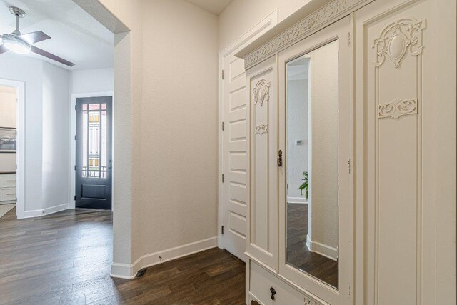 305 Dashing Sycamore St, San Marcos, TX 78666 - entrance foyer with dark wood-style flooring, a ceiling fan, and baseboards