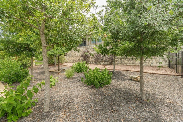 305 Dashing Sycamore St, San Marcos, TX 78666 - view of fenced backyard