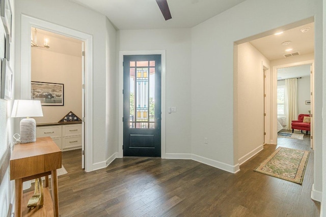305 Dashing Sycamore St, San Marcos, TX 78666 - entryway with dark wood-style floors, plenty of natural light, a ceiling fan, and baseboards