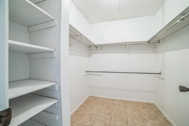 409 Mountain Laurel Dr, Cedar Park, TX 78613 - view of walk in closet