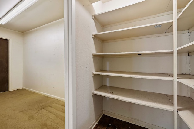 8400 Shenandoah Dr, Austin, TX 78753 - view of pantry