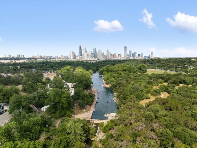1715 Bluebonnet Ln, Austin, TX 78704 - aerial overview of property's location with city skyline and a large body of water