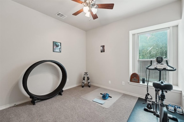 722 Tom Kite Dr, Round Rock, TX 78664 - workout room with a ceiling fan, carpet floors, and baseboards