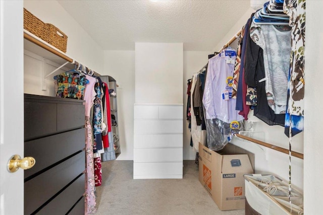601 Wagon Wheel Trl, Pflugerville, TX 78660 - walk in closet with carpet