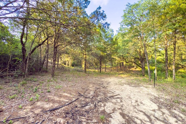 000 Green Valley Dr, Bastrop, TX 78602