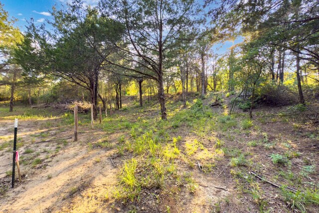 000 Green Valley Dr, Bastrop, TX 78602