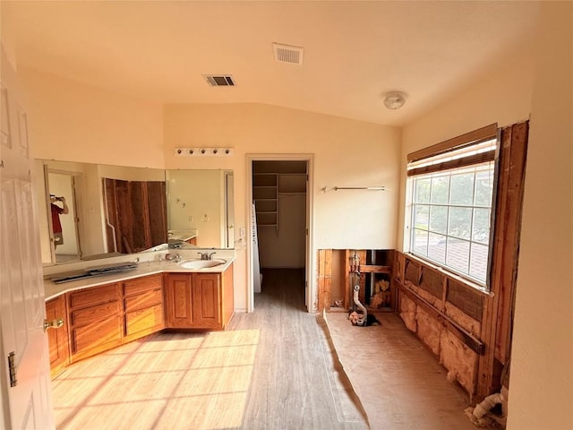 14604 Ballyclarc Dr, Austin, TX 78717 - full bathroom featuring double vanity, vaulted ceiling, wood finished floors, and a walk in closet