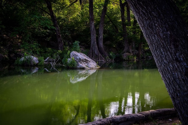 1106 Hillcrest Dr, New Braunfels, TX 78130