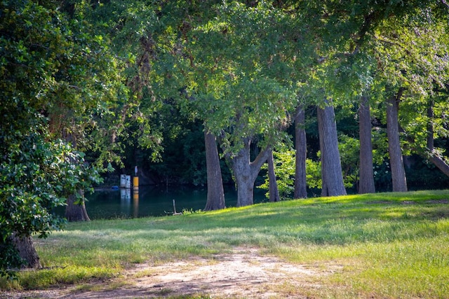 1106 Hillcrest Dr, New Braunfels, TX 78130