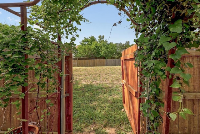 700 Horizon Trl, Cedar Park, TX 78613 - view of yard